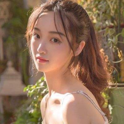 明星大亨游戏下载